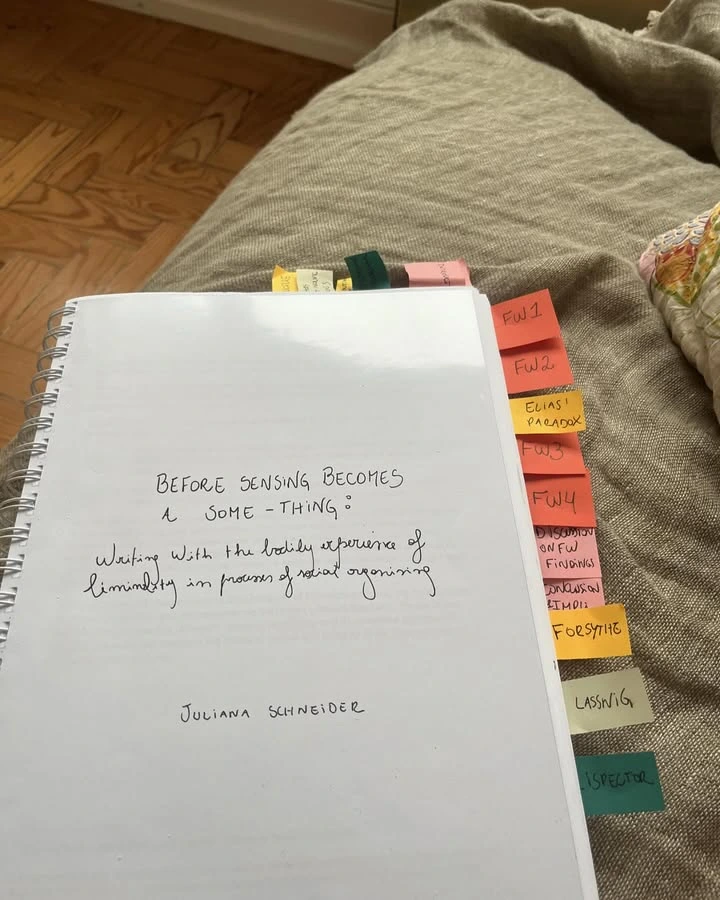 Juliana Schneider Before sensing becomes a some-thing thesis